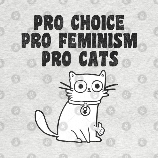 Pro Choice. Pro Feminism. Pro Cats. by darklordpug